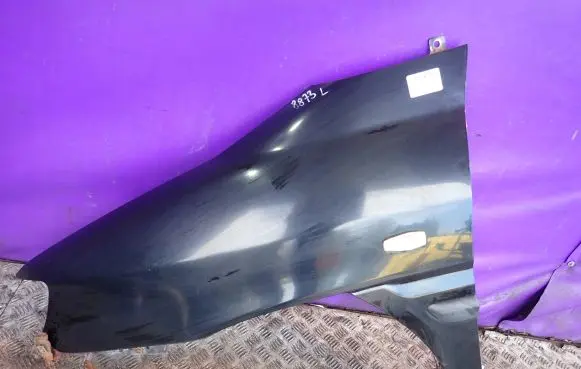 Hyundai Matrix Fender