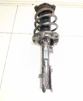 Front shock absorber with coil spring