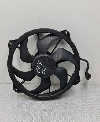 Citroen C4 I Picasso Electric radiator cooling fan 300000801
