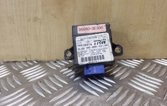 KIA Sorento Other control units/modules 956003E300
