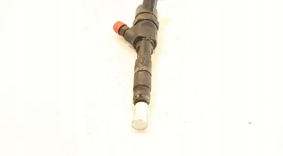 Renault Megane II Fuel injector