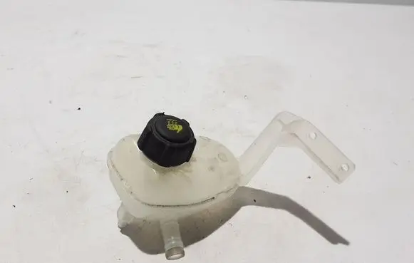 Renault Megane E-Tech Coolant expansion tank/reservoir 217105MZ1A