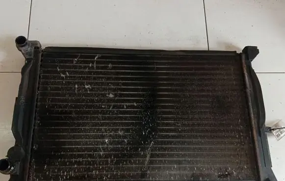 Volkswagen PASSAT B5.5 Coolant radiator 