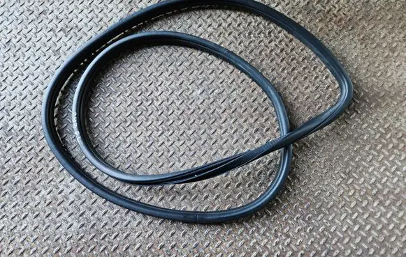 Dodge Durango III Front door rubber seal