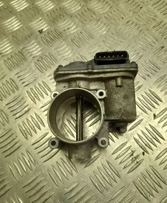 Throttle body valve