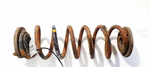 Volkswagen PASSAT CC Rear coil spring 