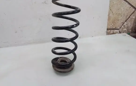 Rear coil spring