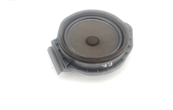 Front door speaker