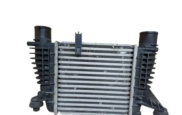 Nissan Juke I F15 Intercooler radiator 144611KB1A