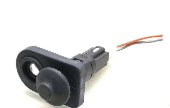 Hyundai Santa Fe Front door sensor 