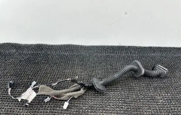 Renault Scenic IV - Grand scenic IV Front door wiring loom 241257775R
