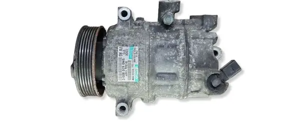 Skoda Octavia Mk2 (1Z) Air conditioning (A/C) compressor (pump) 5N0820803C R134A1702P 102684091B4