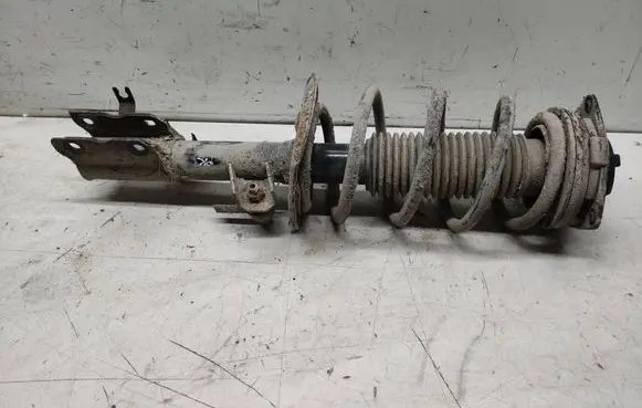 Nissan Qashqai Front shock absorber/damper 54303JD01A