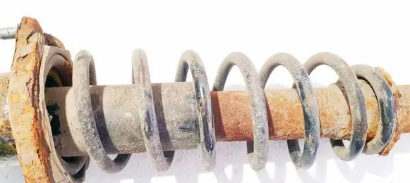 Rear coil spring