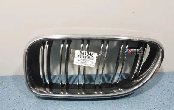 BMW M6 Front grill 51138050537