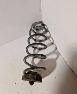 Rear coil spring