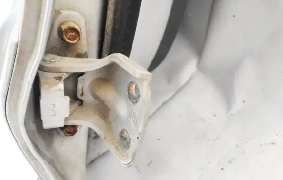 Hyundai Santa Fe Rear door lower hinge