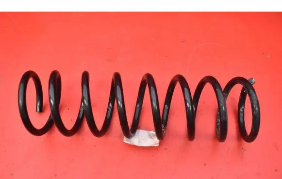Rear coil spring