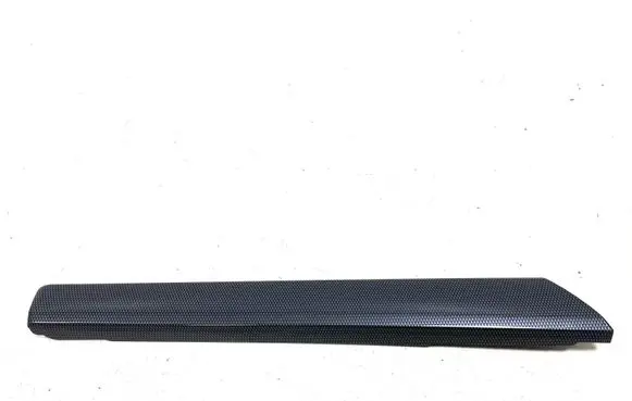 Opel Antara Rear door card trim 96662259