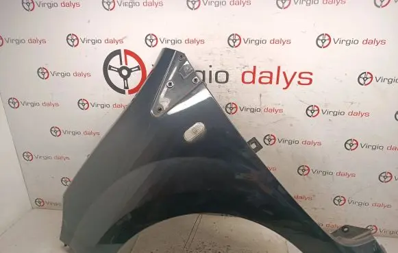 Renault Twingo II Fender 8200588323