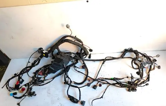 Cupra Born Wiring harness TAB016490BC 2150571758 1EA907361A