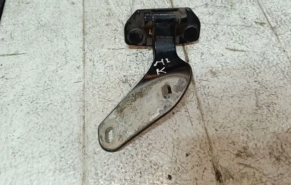Tailgate/trunk/boot hinge