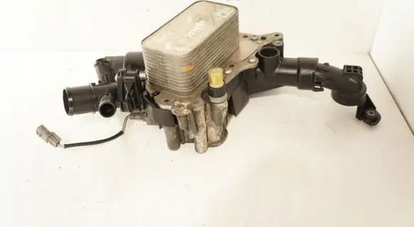 Renault Kadjar Oil filter mounting bracket 72395879