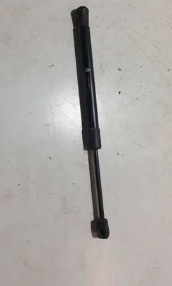 Tailgate strut