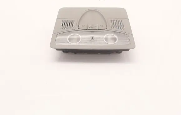 Honda Civic Front seat light 34400SMGE7 84493F0286GRIS