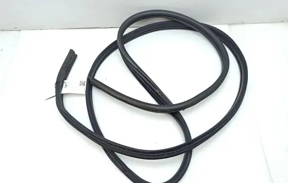 Opel Movano B Front door rubber seal