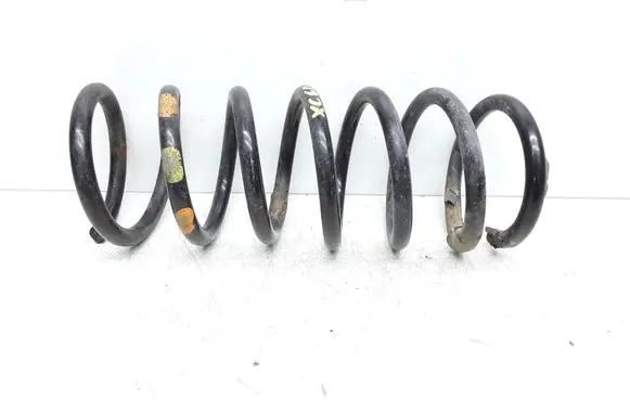 Rear coil spring