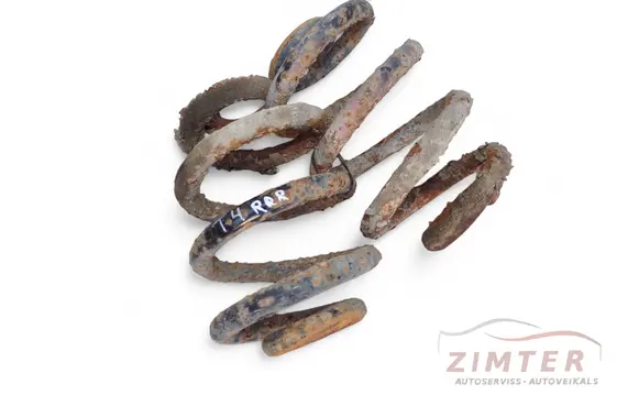 Rear coil spring