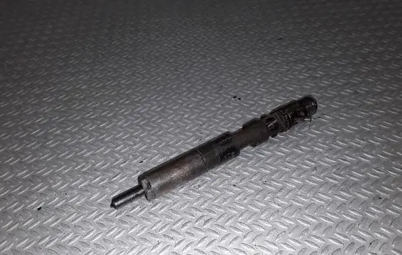 Renault Megane II Fuel injector EJBR03101D