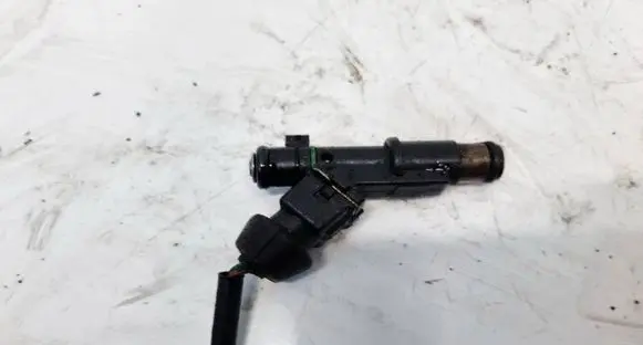 Citroen Xsara Picasso Fuel injector 