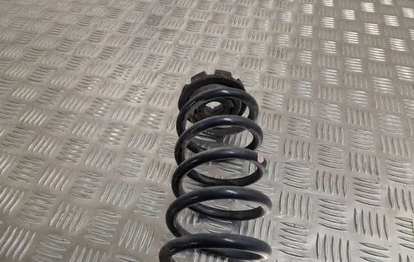 Renault Clio IV Rear coil spring 