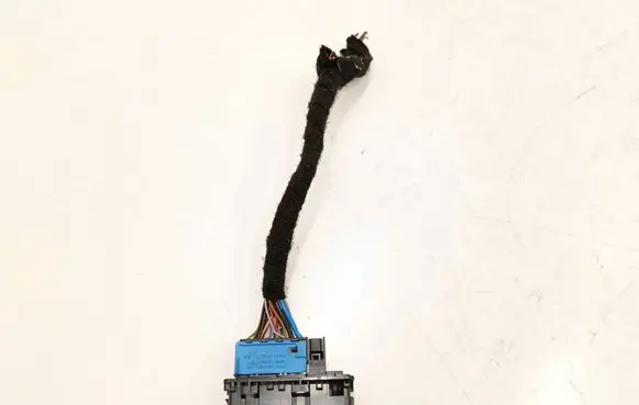 BMW 2 F46 Front door wiring loom 9221027