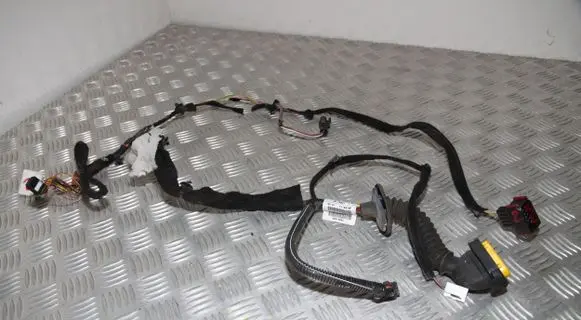 Front door wiring loom
