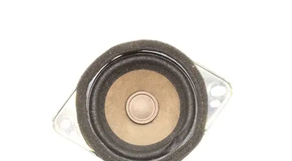 Ford Kuga III Panel speaker FR3T18808HA