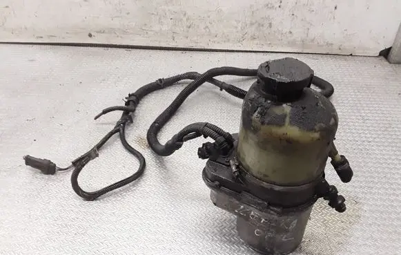 Electric power steering pump