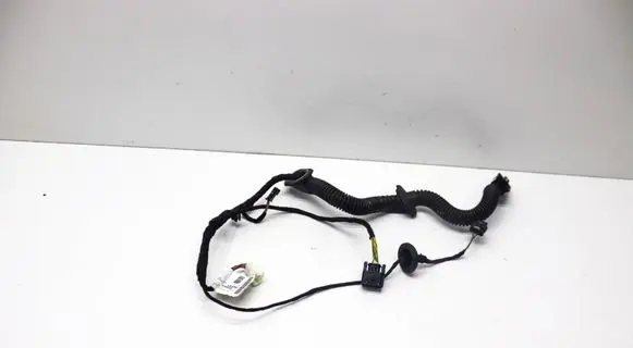 Other wiring loom