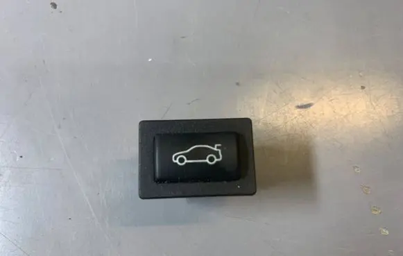 BMW 5 GT F07 Tailgate opening switch 9200316 61319200316