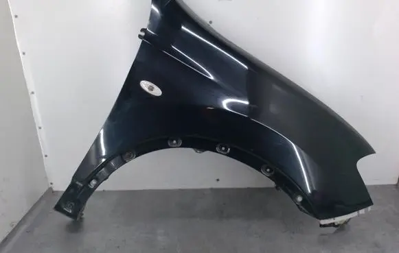 Nissan Qashqai+2 Fender