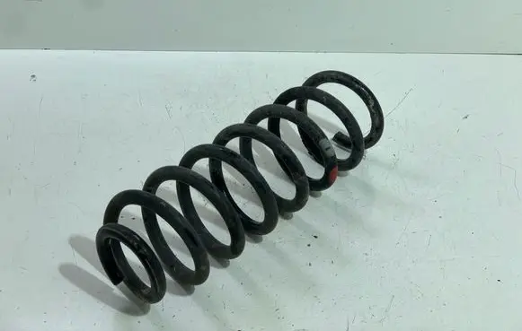 Rear coil spring