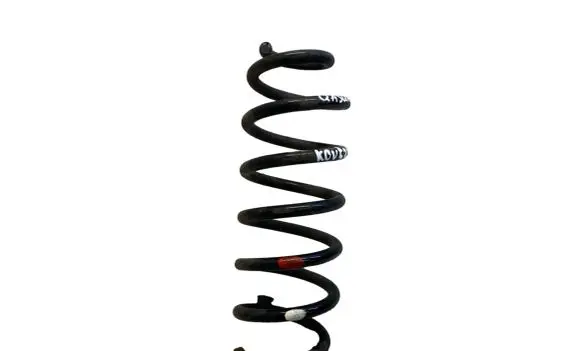 Nissan Qashqai Rear coil spring