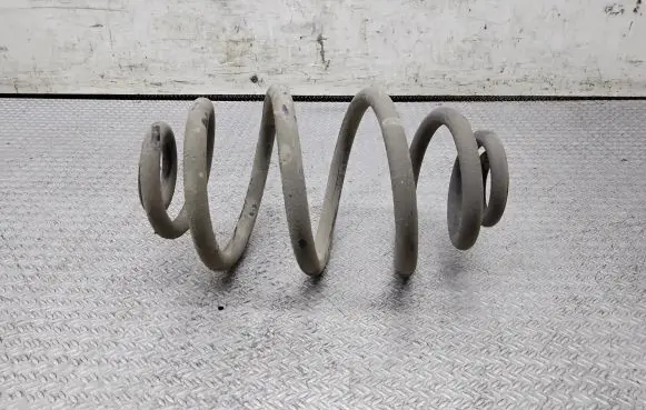 Volkswagen PASSAT B5.5 Rear coil spring