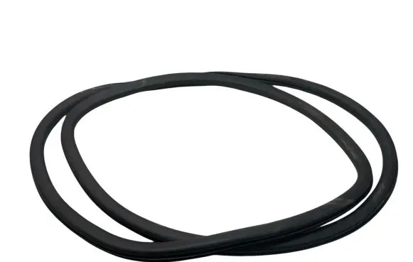 Chrysler Pacifica Front door rubber seal