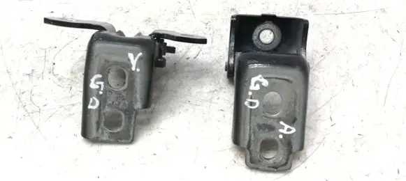Renault Scenic III - Grand scenic III Rear door hinge set 804000016R 804200003R TEGNE