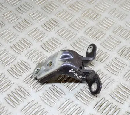 KIA Niro Rear door lower hinge 793102E000