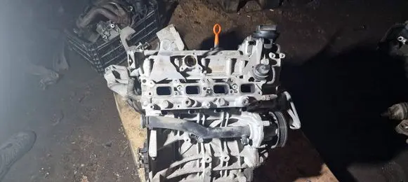 Skoda Octavia Mk2 (1Z) Engine BLF
