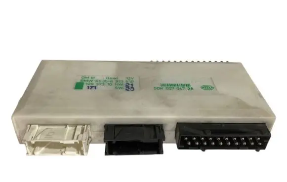 BMW 5 E39 Comfort/convenience module 6913519 61356913519